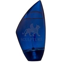 Sculpture Homme God's Night EDT Spray 100ml : Amazon.de: Beauty